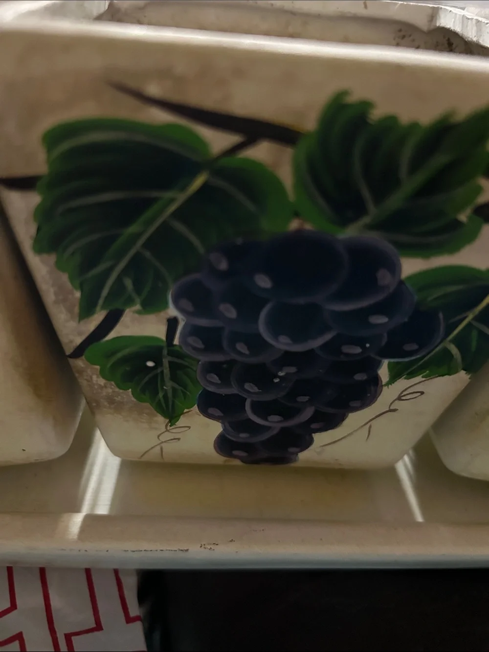 Fruit Ceramic planters with tray Countertop Or Window - White